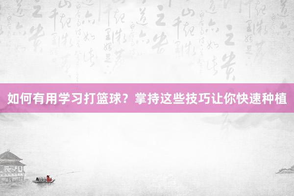 如何有用学习打篮球？掌持这些技巧让你快速种植